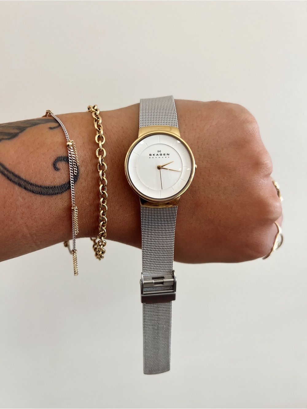 NTW Skagen Watch